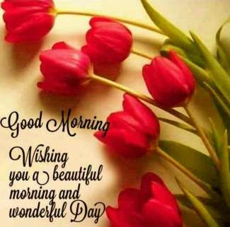 Profile picture for user PRACHI WALAWALKAR