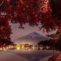 Profile picture for user sandhyathakur